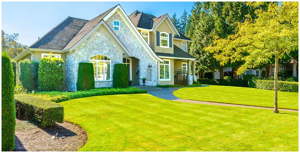 Aurelios Lawn Service